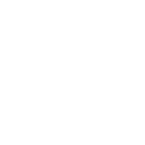 Summer Academy on Management, Business and Economics
